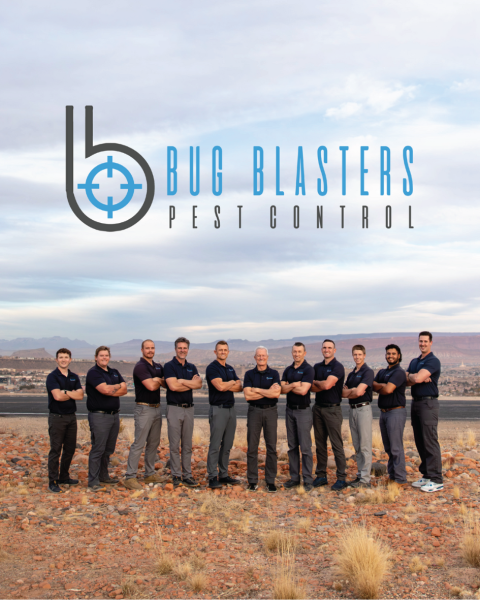 Hurricane Leave a 5 Star Review - Bug Blasters Pest Control